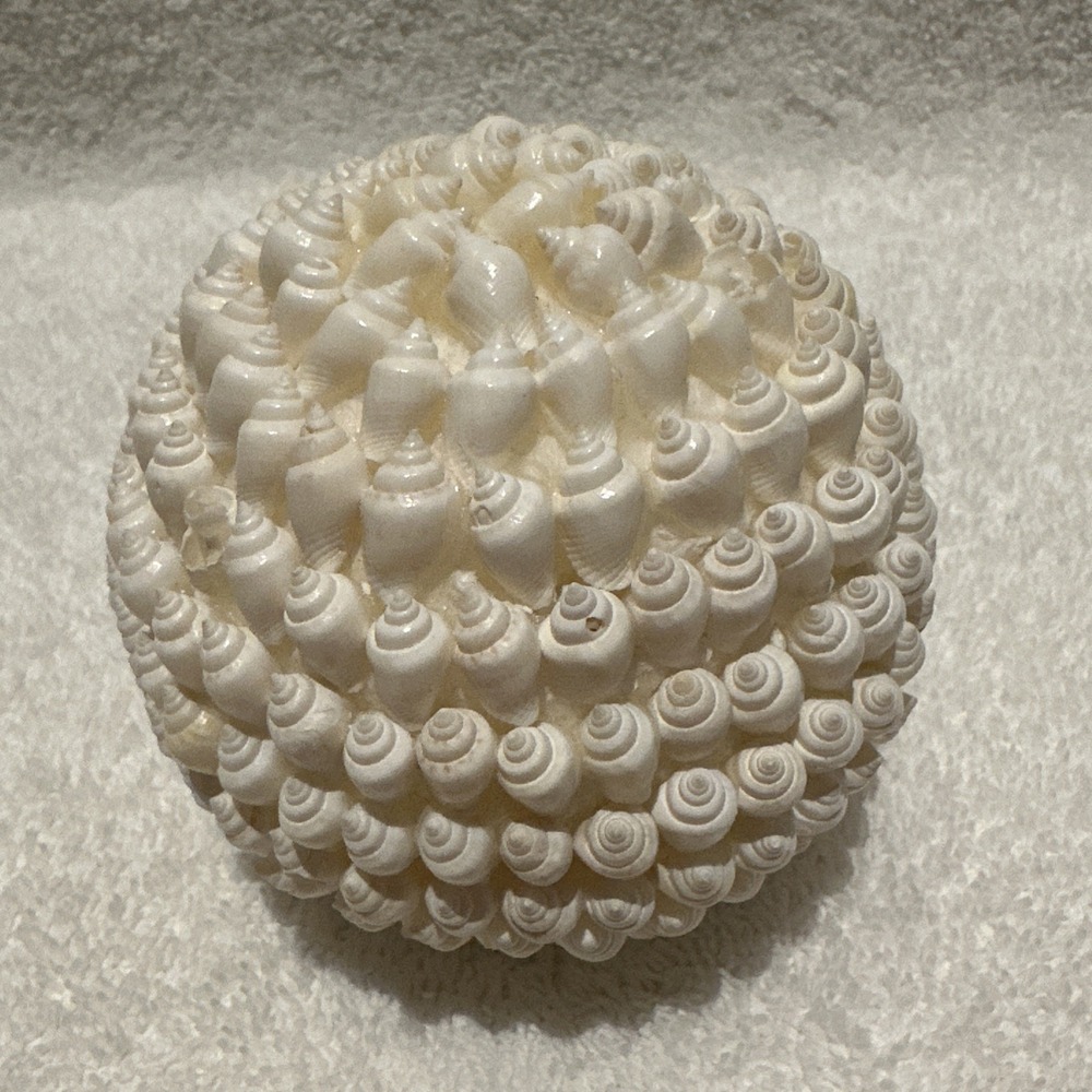 Sea Shell Decorative 3" Ball Sphere Costal Nautical Beach *Defects* A